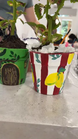 Two painted plant pots — green leaves and a striped lemon design